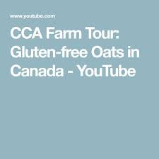 Cca Farm Tour Gluten Free Oats In Canada Youtube Gluten Free Oats Gluten Free Celiac Diet