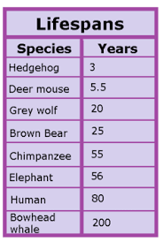 Comparing Life Cycles Of Mammals Lesson For Kids Study Com