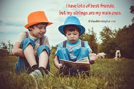 They fights a lot, hurt each other, often hates each other, but in the end of the day the love remains all the same. Siblings Quotes Quotes About Brother Sister Good Morning Fun