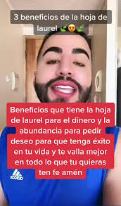 Que Significa La Hoja De Laurel