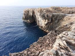 Risultati immagini per porco