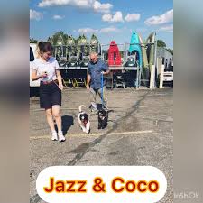 How do puppies react in a new environment?