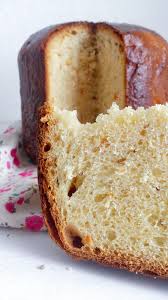 Schiaccia Di Pasqua Alimentation Levure De Boulanger Fraiche Brownie Chocolat
