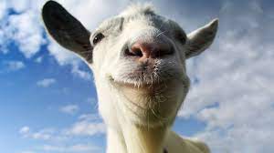 The game is about a female goat named pilgor. Buy Goat Simulator Microsoft Store