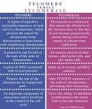 Image result