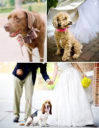 Dogs In Your Wedding Pet Friendly Weddings Wedding Pets Dog Wedding