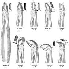 Extracting Forceps Dental Instruments Dental Extraction Dental Instruments Dental
