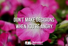 Flower Memes Beautiful Flowers Flowers Bloom