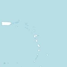 Image result for Croton polytrichus