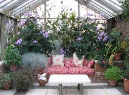 Native to tropical south america, bougainvillea. Alitex