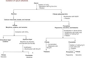 1.7.2 liberation of free alkaloidal base. Analysis Of Alkaloids Indole Alkaloids Isoquinoline Alkaloids Tropane Alkaloids Sciencedirect