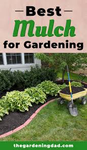 10 Best Mulch For Tropical Gardens The Gardening Dad In 2020 Best Mulch For Garden Vegetable Garden For Beginners Mulching