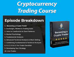 It teaches cryptocurrency trading aspects including understanding the basics of trading charts and patterns. Crypto Trading Course Crypto Traders Pro