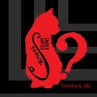 Rc Race Rc Excitement - Fitchburg - Ma Race Car Track Racing Fitchburg