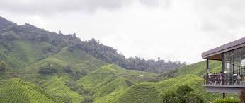 Malaysia has an area of about 127,724 square miles, which makes it the world's 66th largest country. Tea Natural Resources Of Malaysia Tea As A Natural Recourse