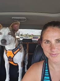 The moment you realize your dog is your doppelganger 😂