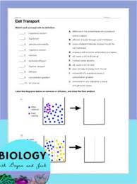 Cell Transport Review Worksheet Cell Transport Practices Worksheets Worksheets