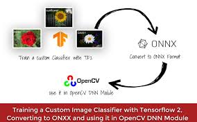 Produce batches of input data). thank you for your opinion by. Training A Custom Image Classifier With Tensorflow Converting To Onnx And Using It In Opencv Dnn Module Bleed Ai
