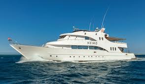 Nemo galapagos islands cruises is a staple in the galapagos islands and has been for decades. Nemo Boat Dune Red Sea