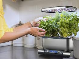 Different aerogardens have different pump cycles. The Aerogarden Harvest Is A Countertop Planter That Doesn T Require Soil I Use It To Grow Basil Dill Tomatoes And More In My Kitchen Smarter News Now