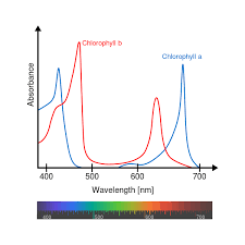 To calculate the monthly cost of operating a led grow light, use the actual power draw in wattage. Are Two Colors Red Blue Necessary For Led Grow Lights Or Would Either Color Be Sufficient Biology Stack Exchange
