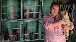 Data from hundreds of animal shelters in the us and canada. Riverbank Rescuer And County Argue Over Permit Kennel License Modesto Bee