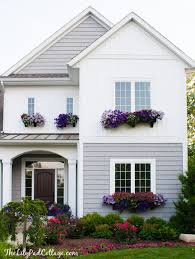 5% coupon applied at checkout save 5% with coupon. Window Box Tips My Former Black Thumb The Lilypad Cottage
