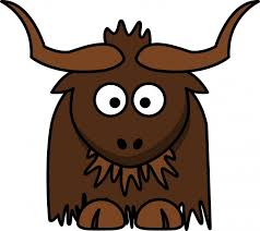 Image result for yak