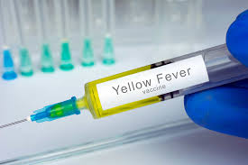 Check spelling or type a new query. Yellow Fever Demam Kuning Gejala Obat Dll Hello Sehat