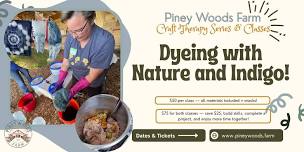 Natural Dyeing: Indigo & Shibori