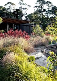 How To Create A Low Allergen Garden Australian Garden Australian Garden Design Garden Landscape Design