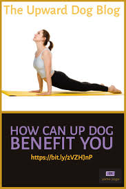 The Up Dog Blog Upward Dog Dog Blog Yoga Poses