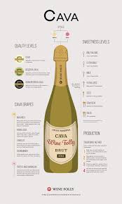 Cava Sparkling Wine Outstanding Bubbly On The Cheap Wine Folly Wine Folly Cava Sparkling Wine Sparkling Wine