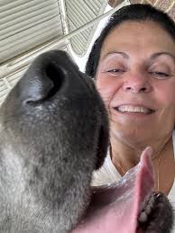 Sidney Lanier High School Class of 1985- Montgomery, Alabama