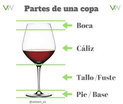 Partes De Una Copa Copas De Vino Partes De La Misa Vinos