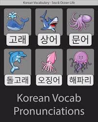 Pronunciations Prounciations Jellyfish Creature Include Dolphin Octopus Korean Squid Shark Wha Korean Language Korean Language Learning Learn Korean