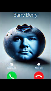 Barry Plant Whitehorse Phone Number