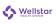 Wellstar Health System logo