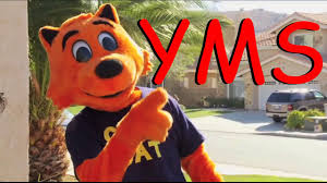 Register your details, deposit some funds, and start playing our coolest of casino games for real money! Yms Cool Cat Saves The Kids Part 1 Of 2 Youtube