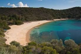 Τιμεσ εισιτηριων για αμμουλιανη & τρυπητη (2020) εδώ θα βρείτε τις επίσημες τιμές εισιτηρίων για αμμουλιανή και τρυπητή για το φέρυ μποτ της ammouliani lines. Ammoylianh Xalkidikhs Dromologia Ammoylianh