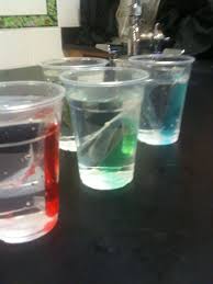 Virtual biology lab (vbl) worksheets. Osmosis Lab Dialysis Tubing With Colored Sucrose Solutions Of Diff Molarities Soaking In Water Biology Teacher Biology Interactive Notebook Biology Class