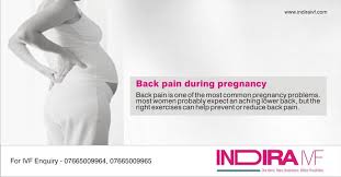 Pin On Best Ivf Center In India
