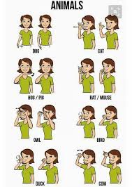Bird In Sign Language Baby Animals Sign Language Words Sign Language Baby Sign Language
