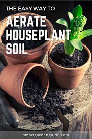 Indoor Plant Soil Compacts In 2020 House Plant Care Plants Best Soil For Succulents