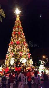 Christmas Festivities 2021 Oahu Honolulu Christmas Photos Free Royalty Free Stock Photos From Dreamstime