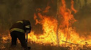 .valparaíso y quilpué, en medio del incendio forestal que se desarrolla en la reserva nacional lago peñuelas, que más de 1.200 personas fueron evacuadas en purén tras avance de incendio forestal. Alerta Roja En Quilpue Por Incendio Que Amaga A Subestacion Electrica Y Casas