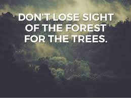 Don T Lose Sight Of The Forest For The Trees Tree Quotes Good To Know Perseverance