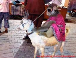 Image result for whatsapp comedy images