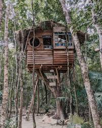 We did not find results for: When Is The Best Time To Visit Tulum