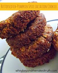 Butterscotch Pumpkin Spice Lactation Cookies Breastfeeding Cookies Lactation Cookies Lactation Recipes
